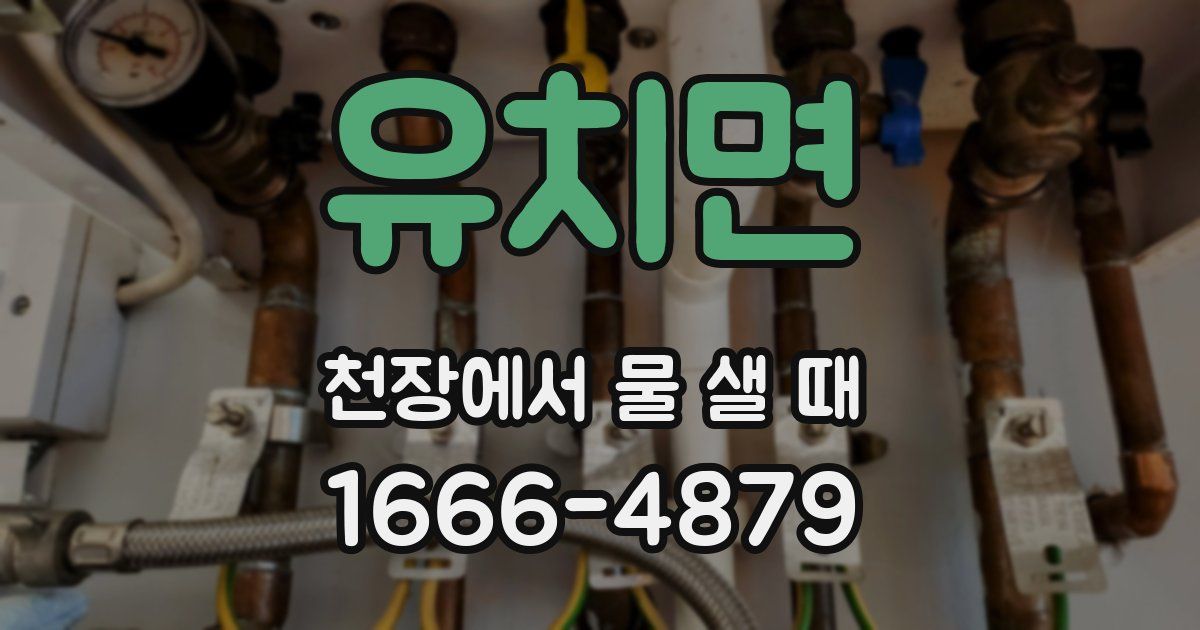유치면 천장에서 물 샐 때
