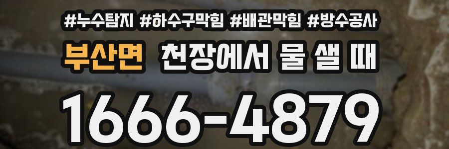 부산면 천장에서 물 샐 때