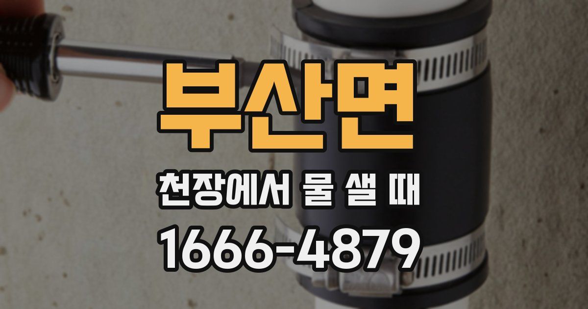 부산면 천장에서 물 샐 때
