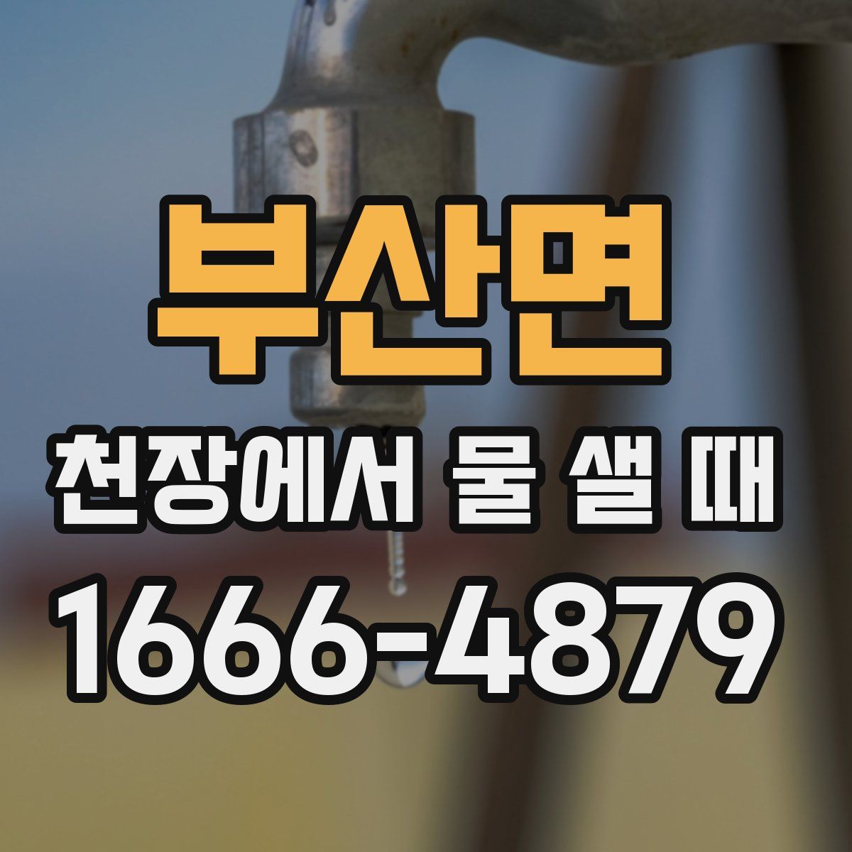 부산면 천장에서 물 샐 때