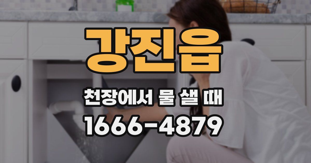 강진읍 천장에서 물 샐 때