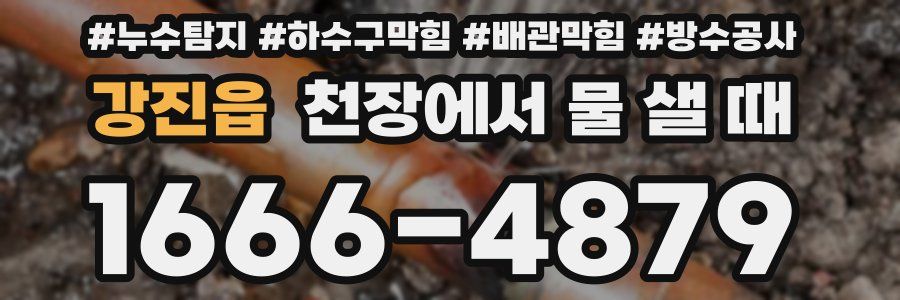 강진읍 천장에서 물 샐 때