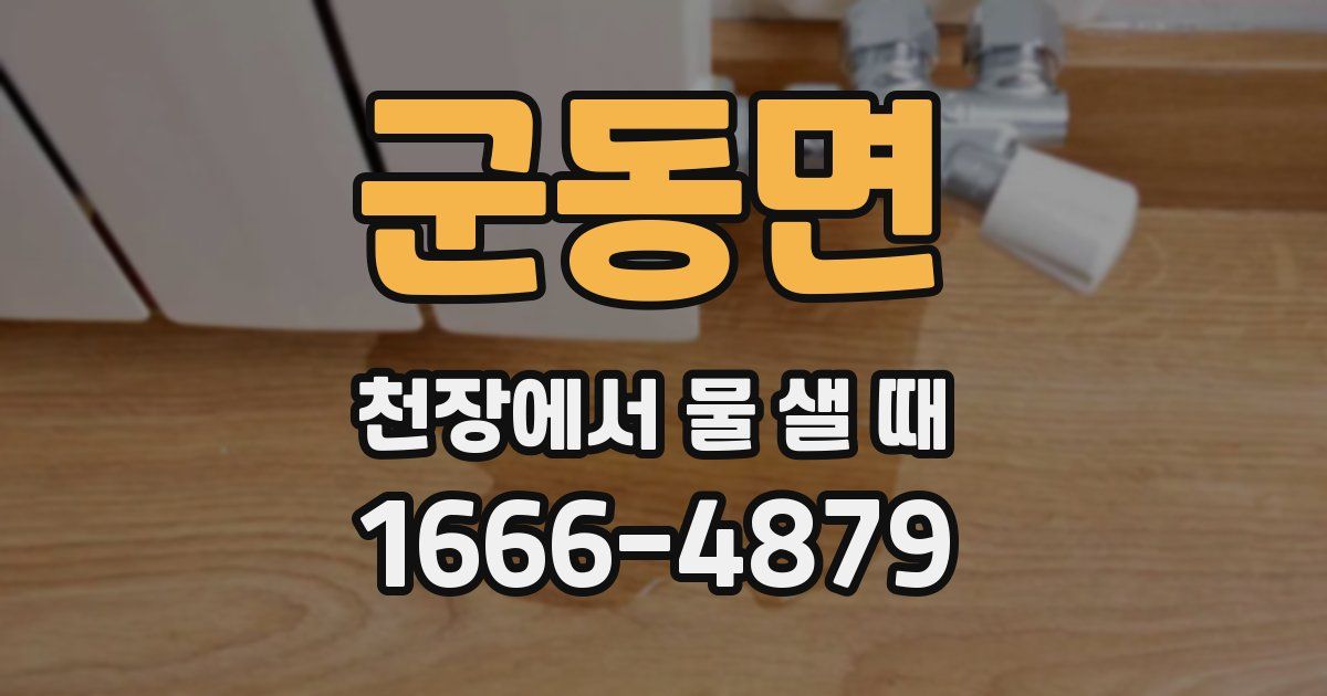 군동면 천장에서 물 샐 때