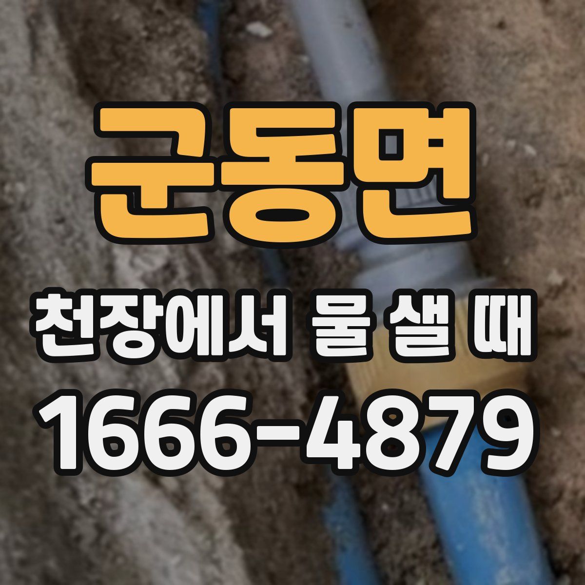 군동면 천장에서 물 샐 때
