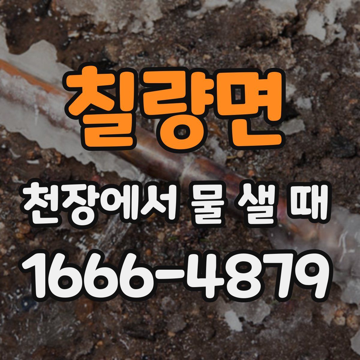 칠량면 천장에서 물 샐 때