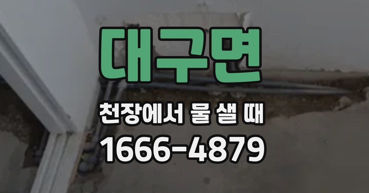 대구면 천장에서 물 샐 때