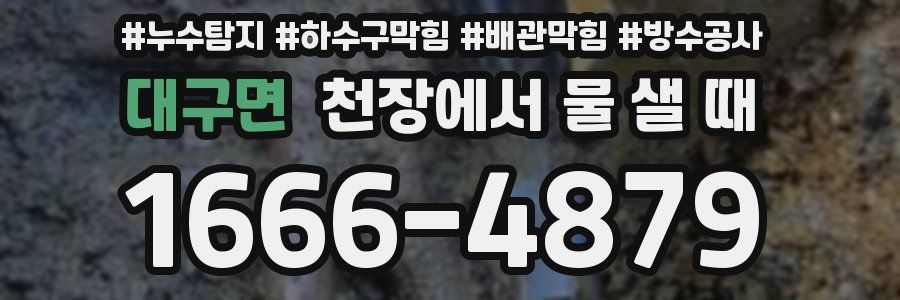 대구면 천장에서 물 샐 때