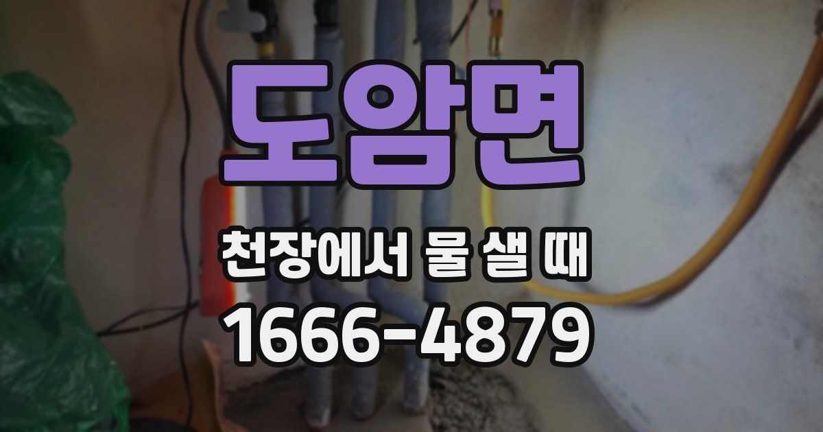도암면 천장에서 물 샐 때