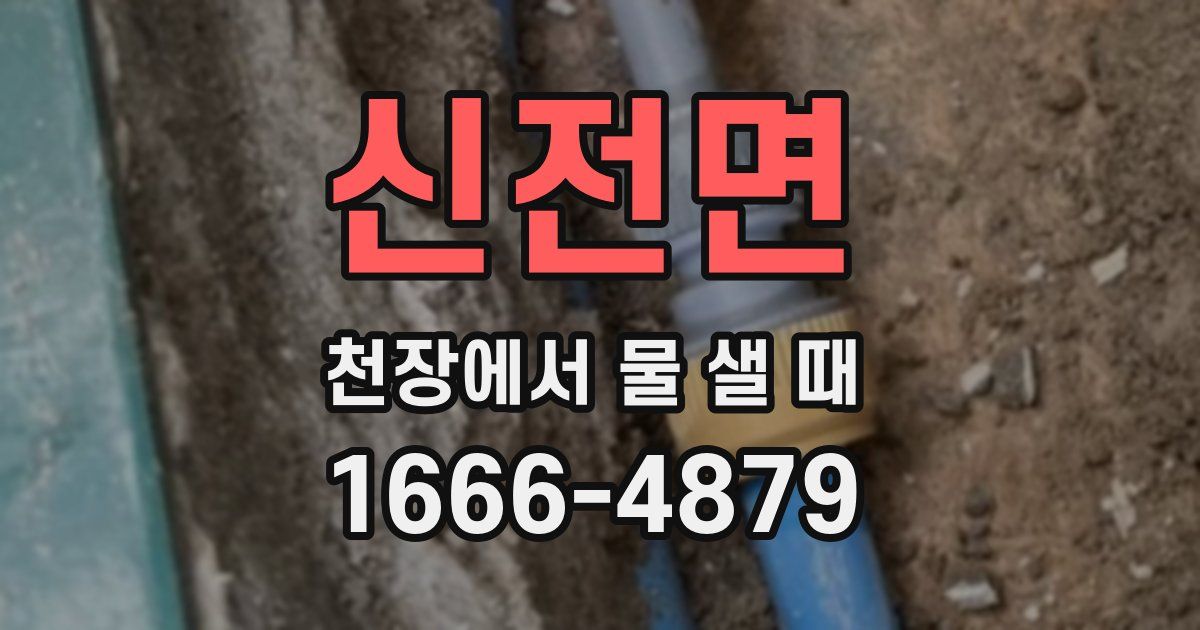 신전면 천장에서 물 샐 때