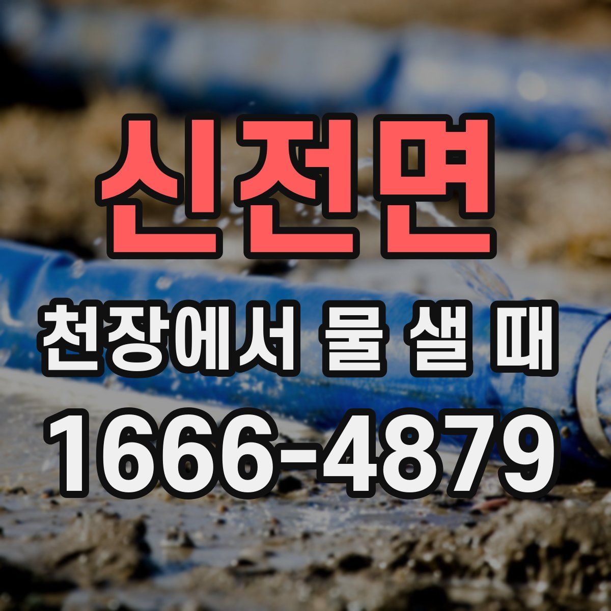 신전면 천장에서 물 샐 때