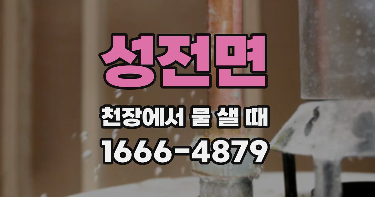 성전면 천장에서 물 샐 때