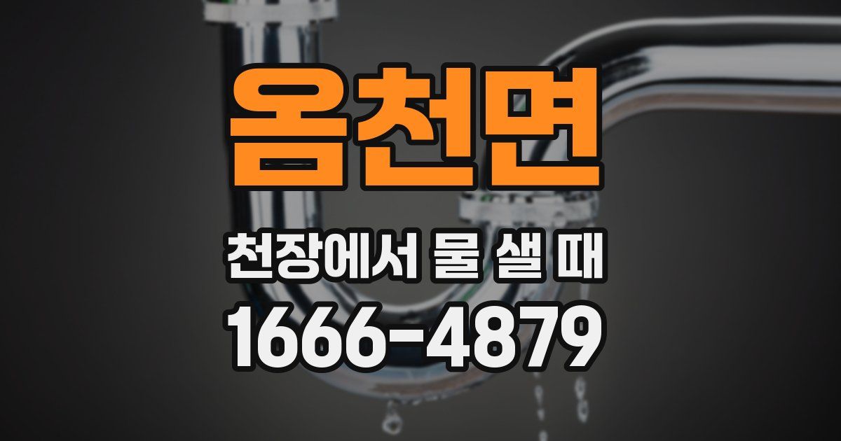 옴천면 천장에서 물 샐 때