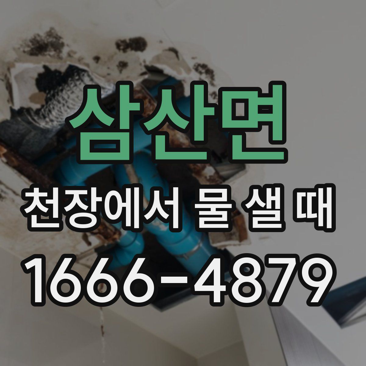 삼산면 천장에서 물 샐 때
