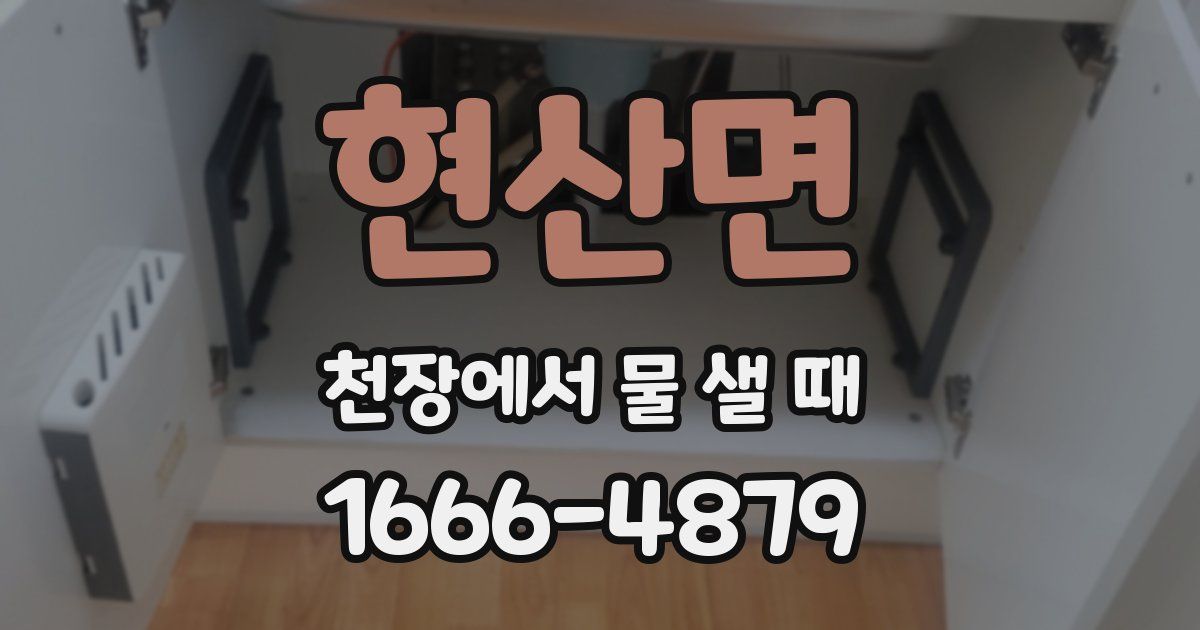 현산면 천장에서 물 샐 때