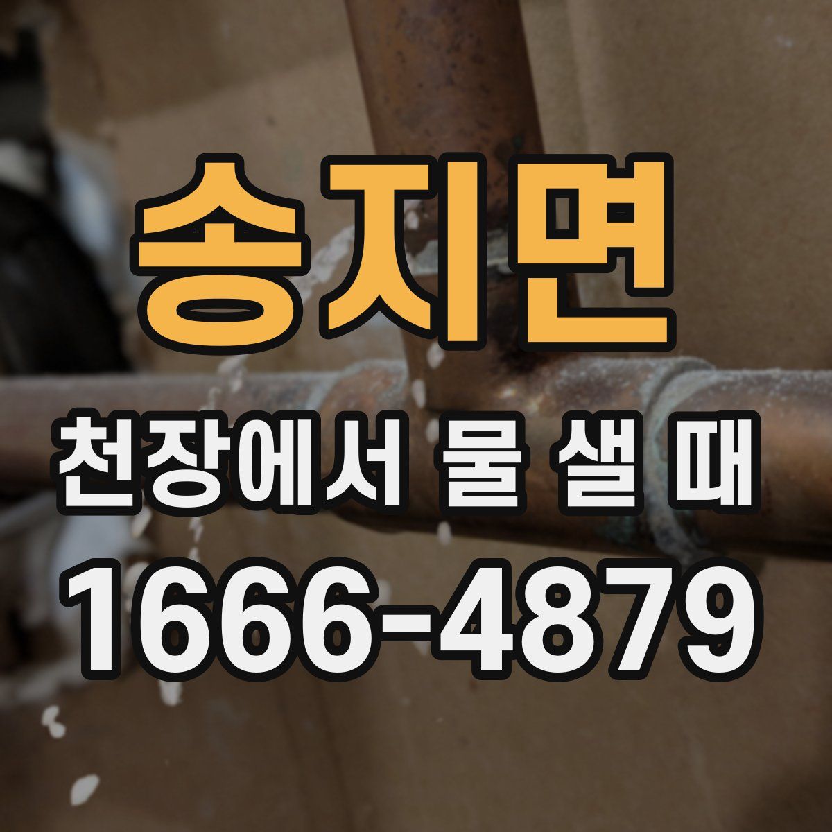 송지면 천장에서 물 샐 때
