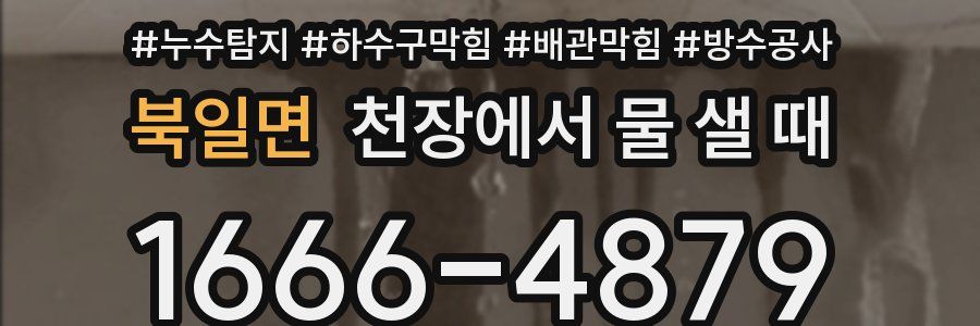 북일면 천장에서 물 샐 때