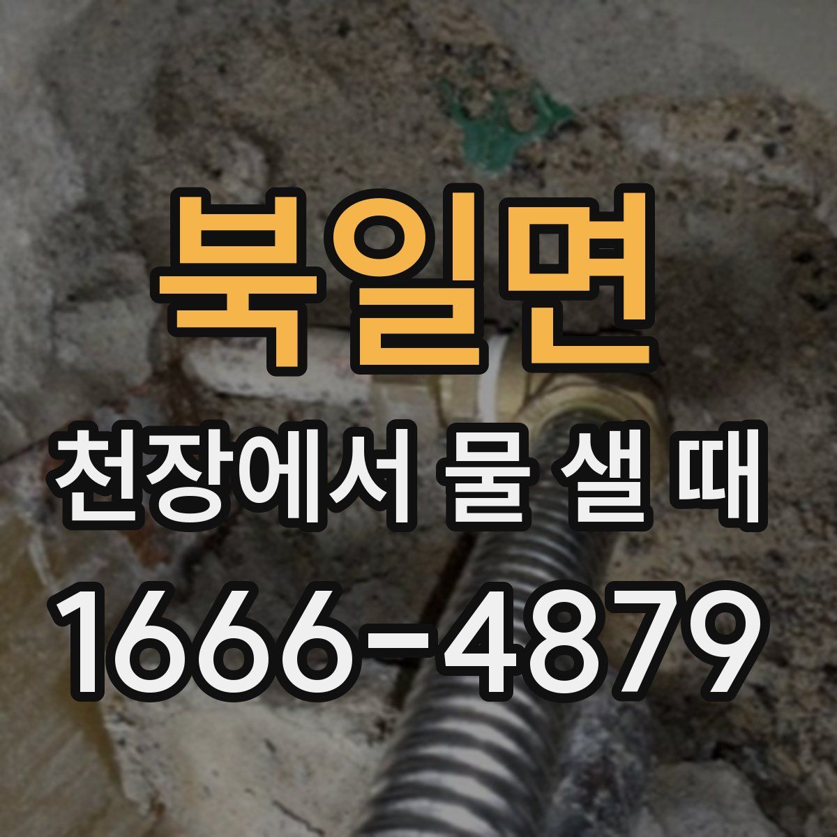 북일면 천장에서 물 샐 때
