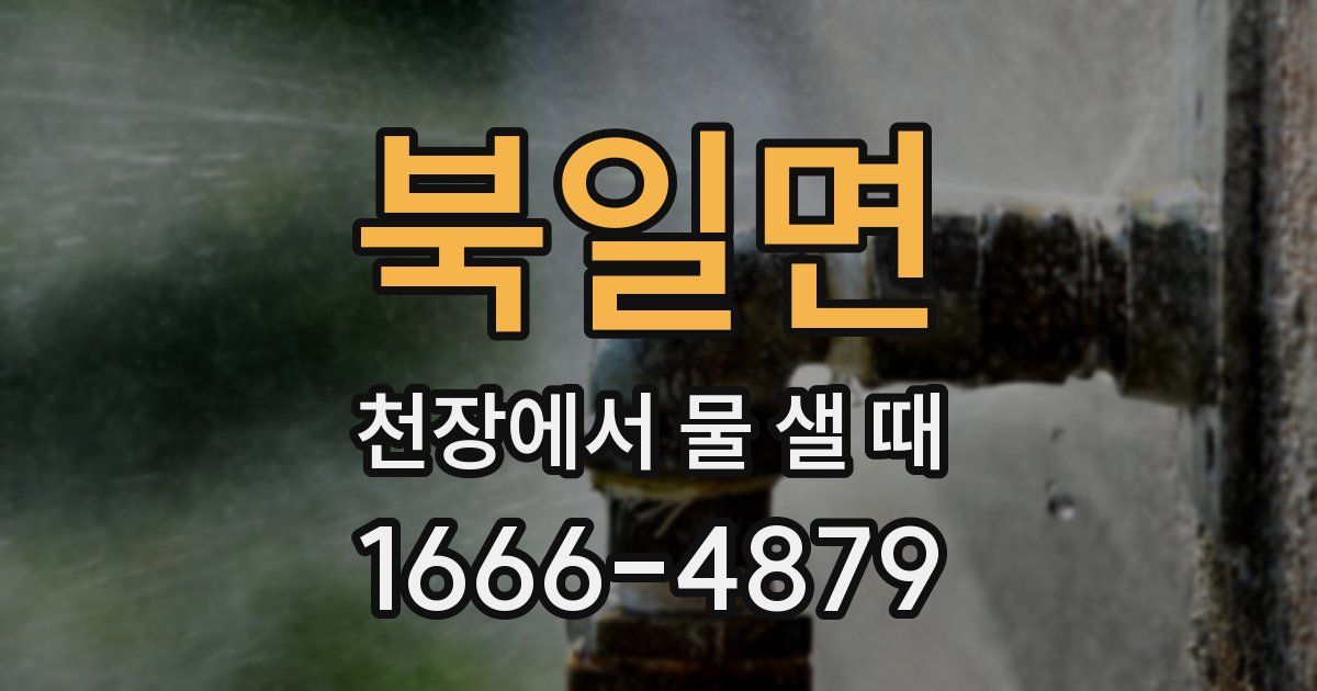 북일면 천장에서 물 샐 때