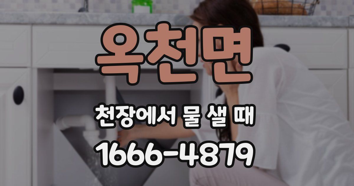 옥천면 천장에서 물 샐 때