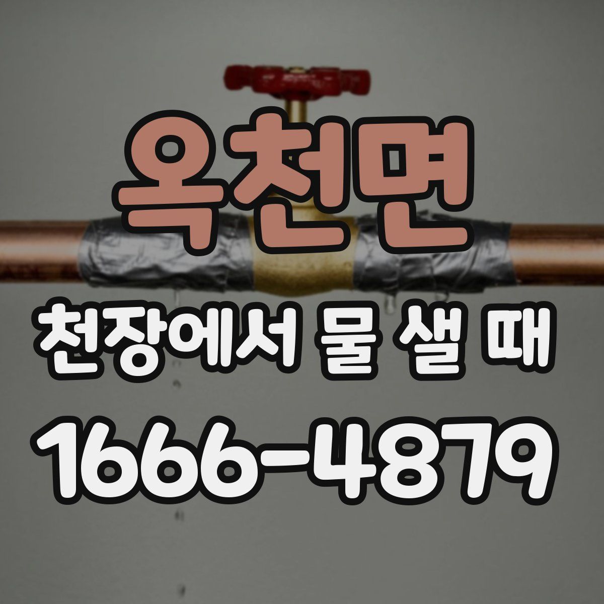 옥천면 천장에서 물 샐 때
