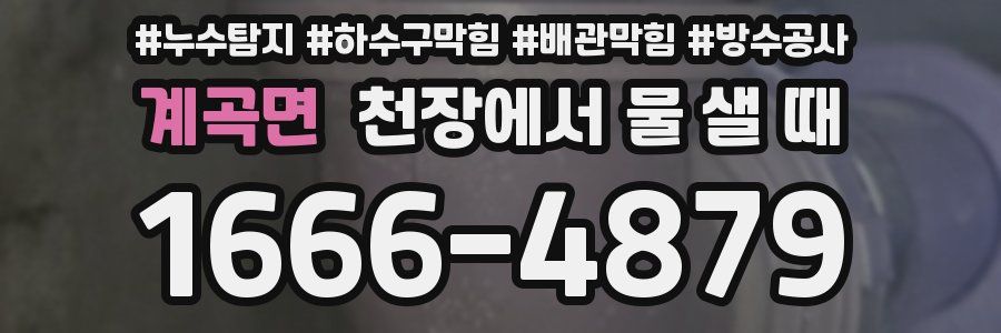 계곡면 천장에서 물 샐 때