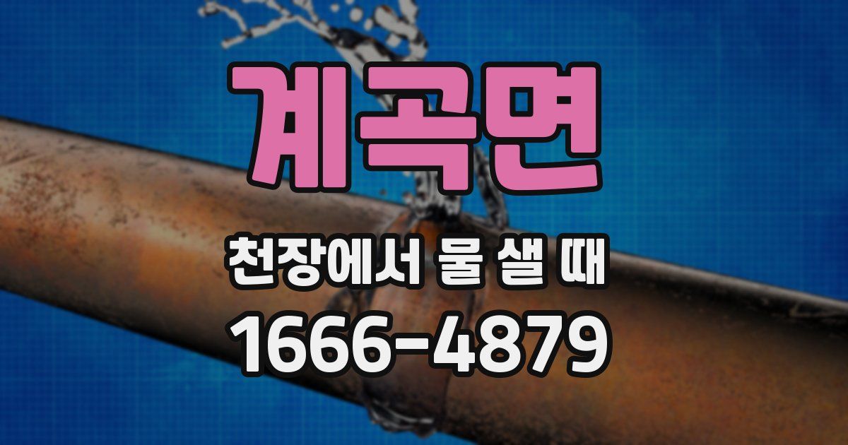계곡면 천장에서 물 샐 때