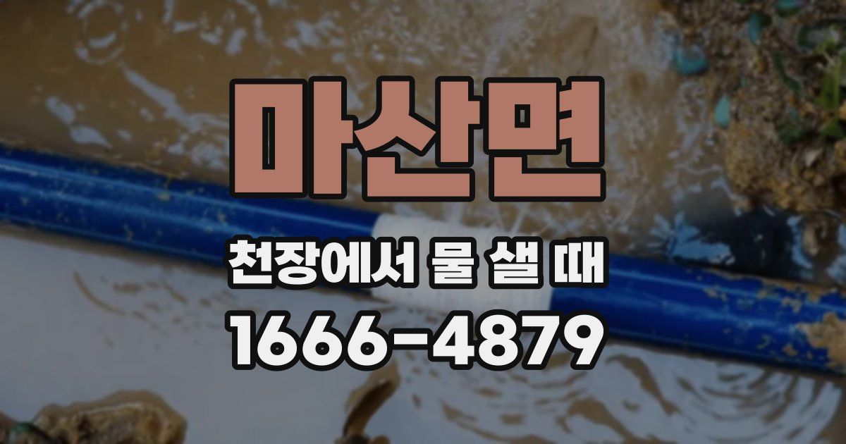 마산면 천장에서 물 샐 때