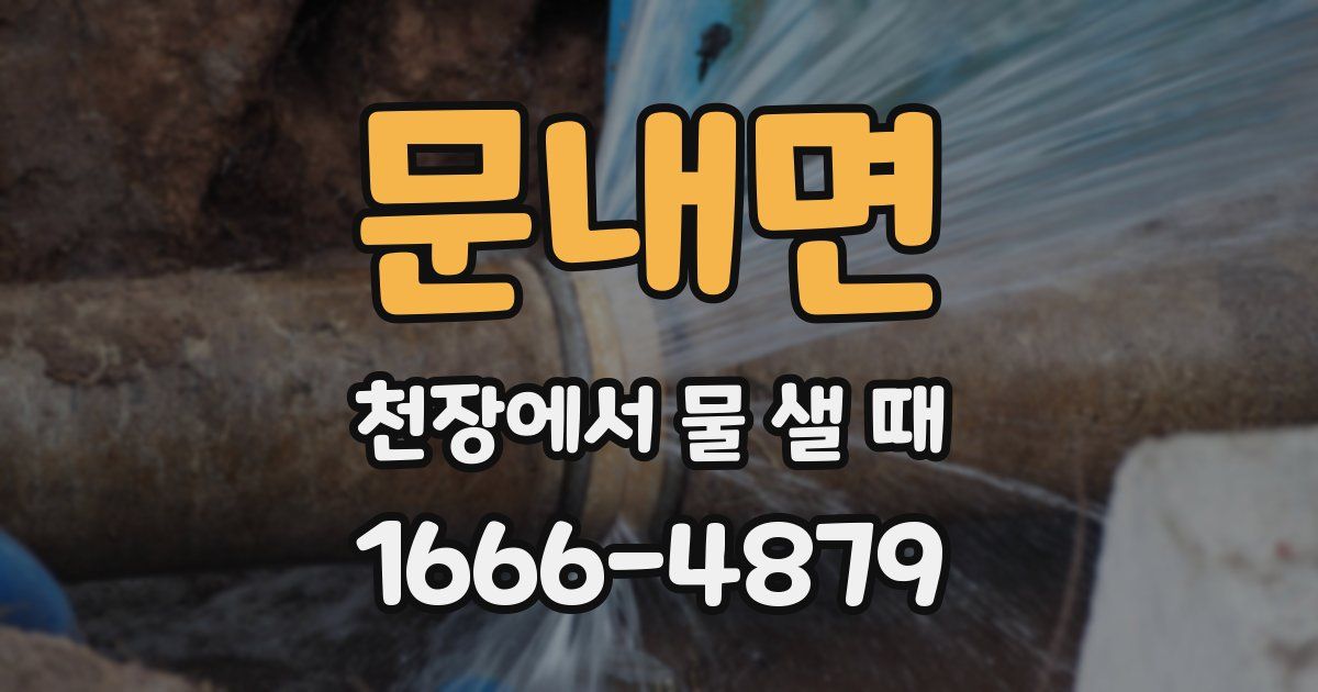 문내면 천장에서 물 샐 때