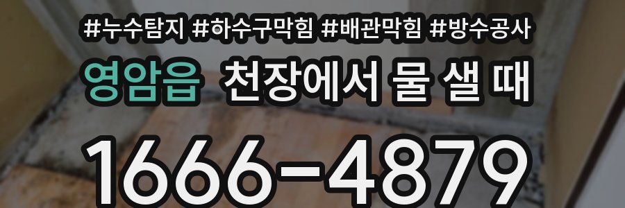영암읍 천장에서 물 샐 때