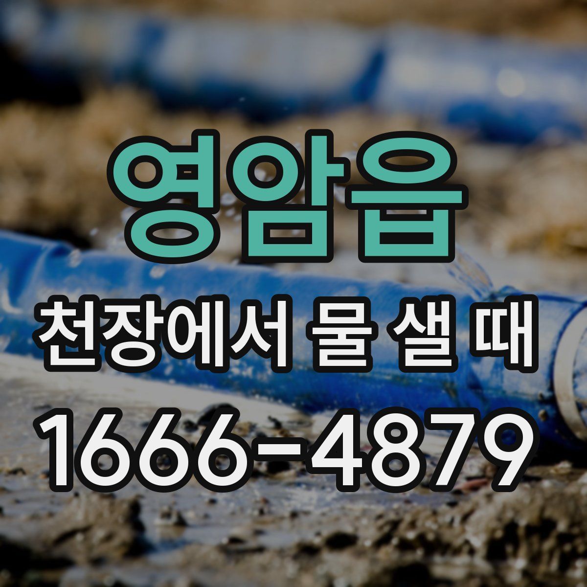 영암읍 천장에서 물 샐 때