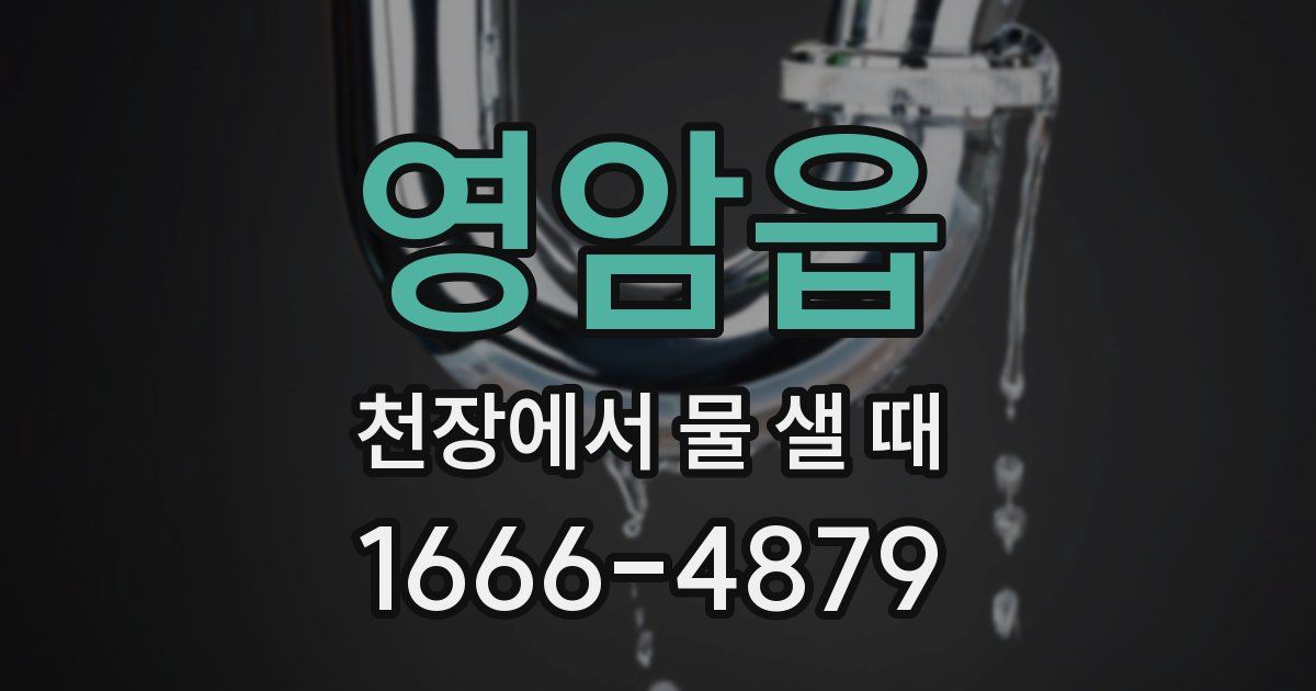 영암읍 천장에서 물 샐 때