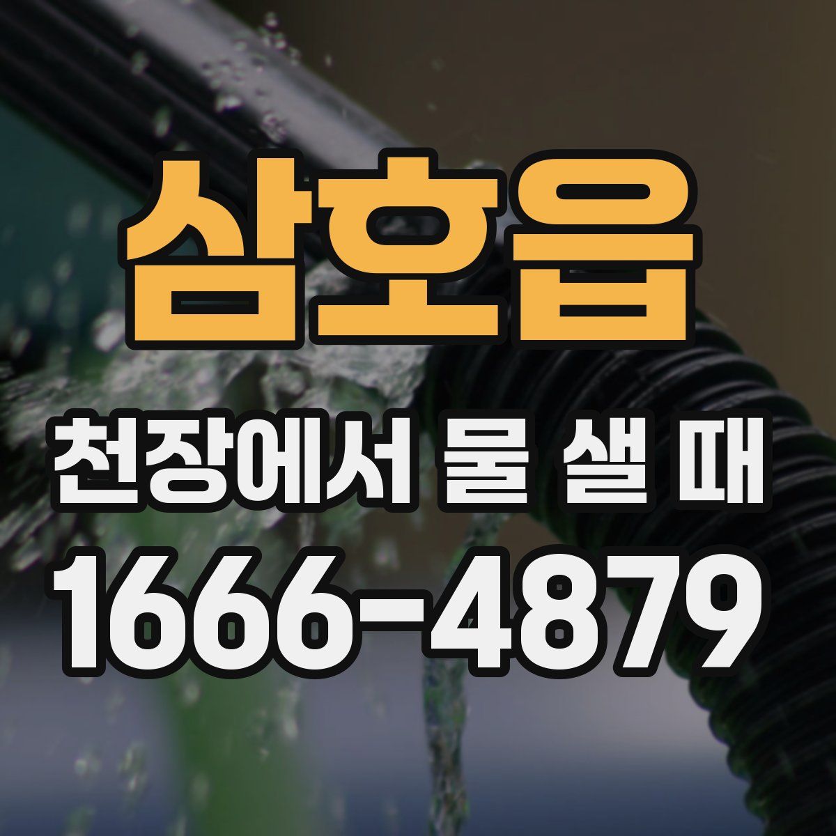삼호읍 천장에서 물 샐 때