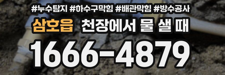 삼호읍 천장에서 물 샐 때