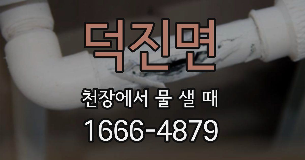 덕진면 천장에서 물 샐 때