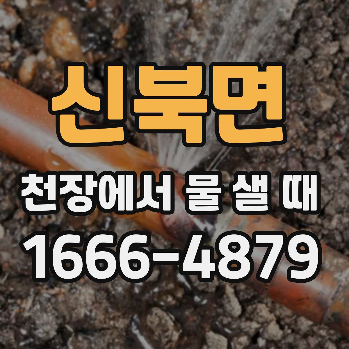 신북면 천장에서 물 샐 때