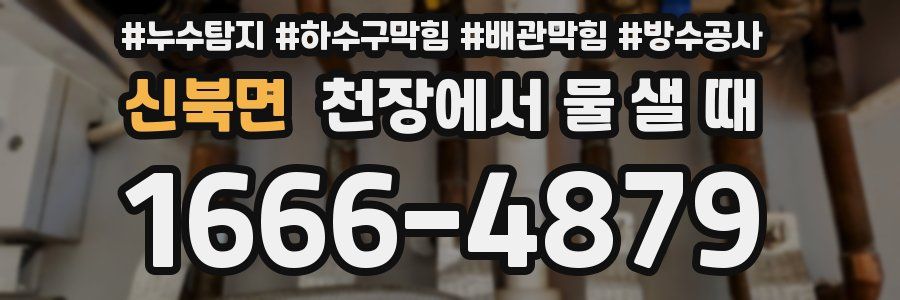 신북면 천장에서 물 샐 때