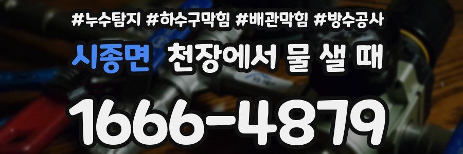 시종면 천장에서 물 샐 때