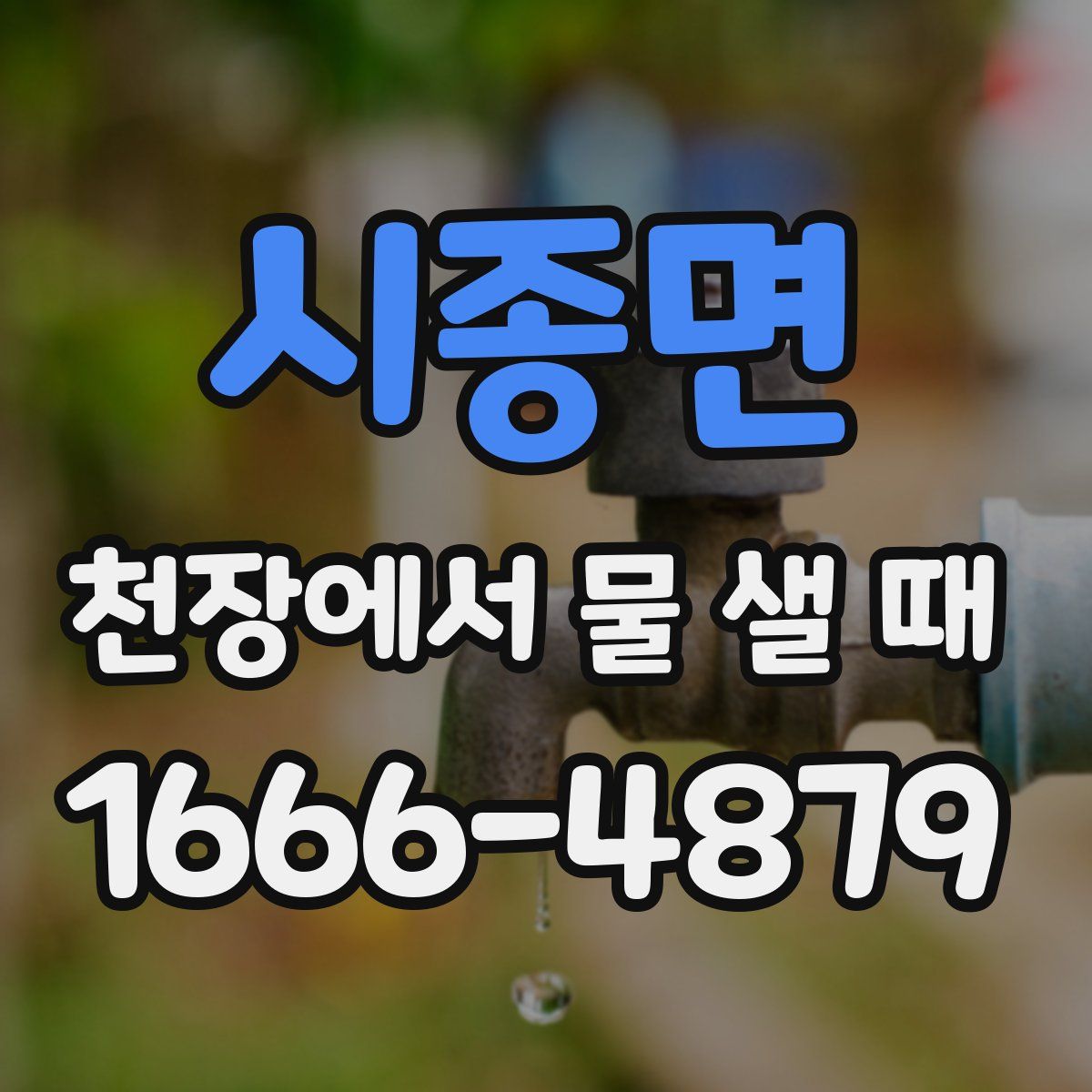 시종면 천장에서 물 샐 때