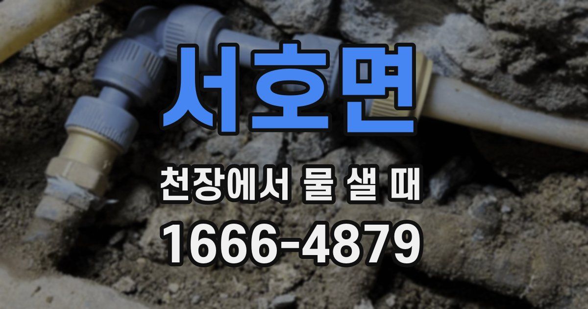 서호면 천장에서 물 샐 때
