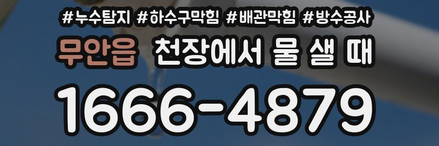 무안읍 천장에서 물 샐 때