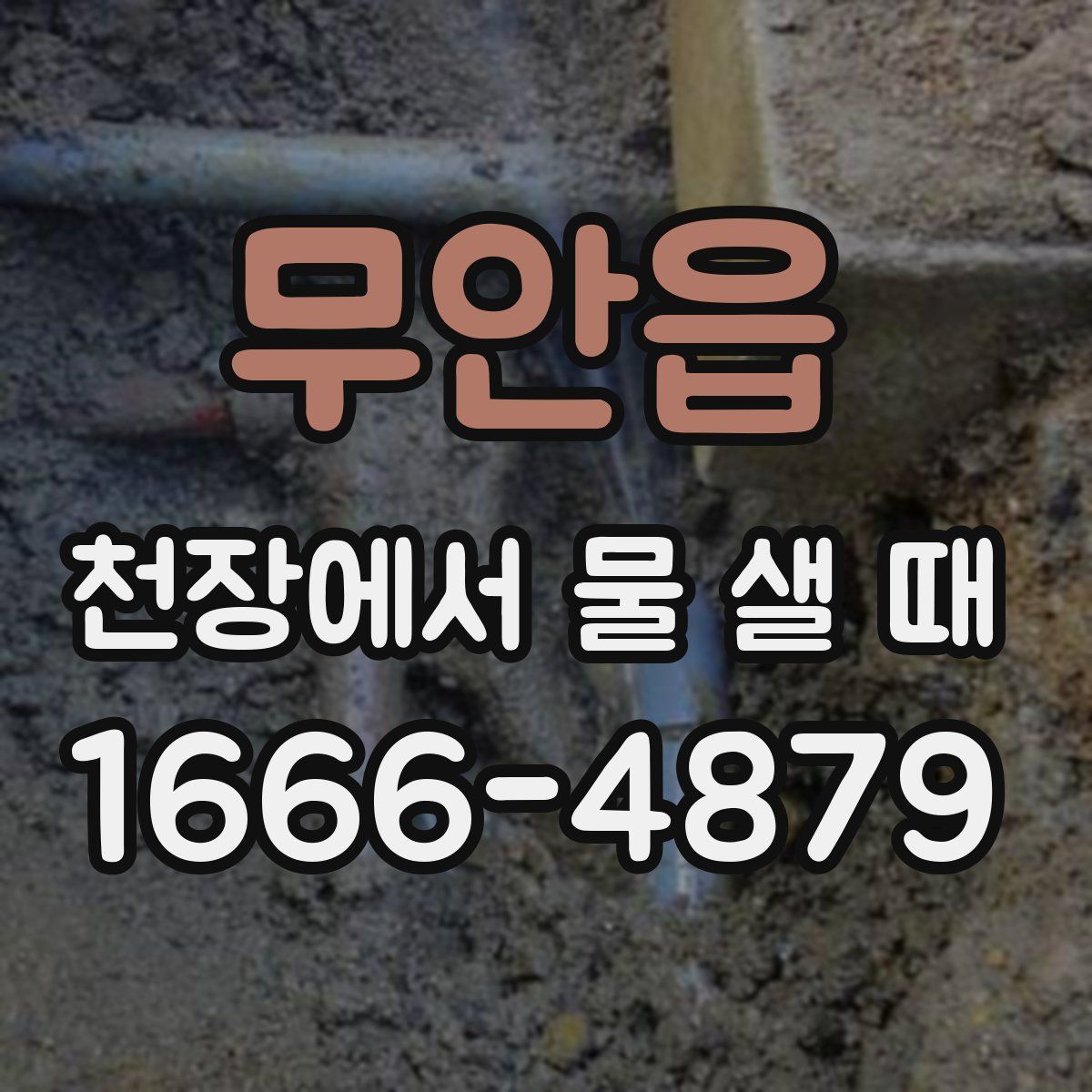 무안읍 천장에서 물 샐 때
