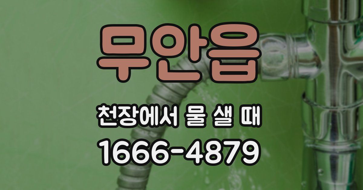 무안읍 천장에서 물 샐 때