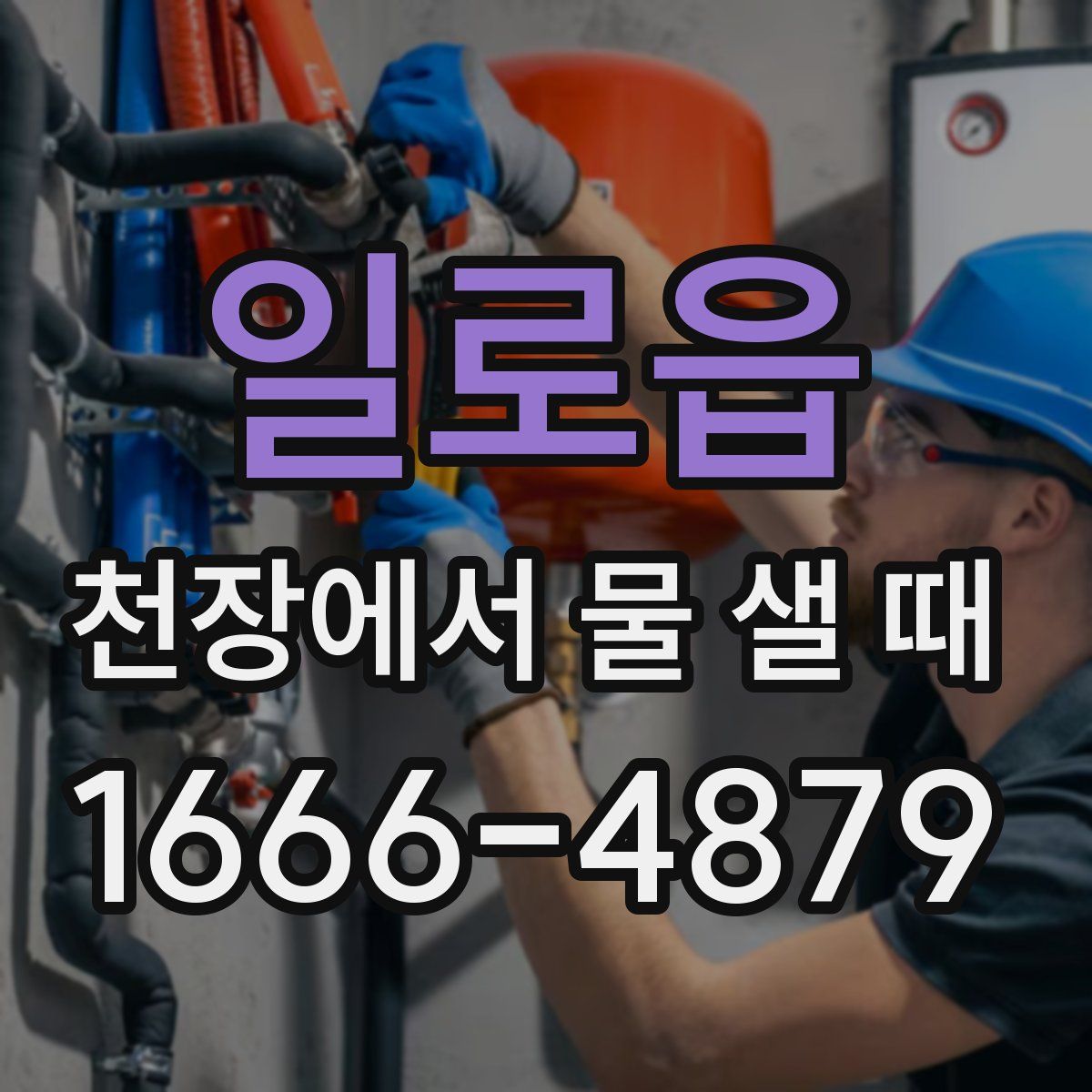일로읍 천장에서 물 샐 때