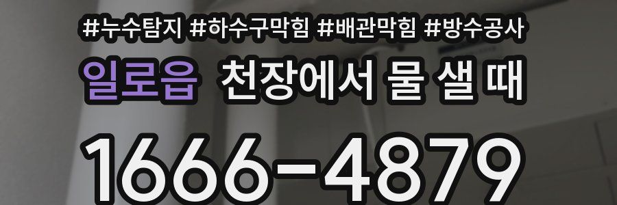 일로읍 천장에서 물 샐 때