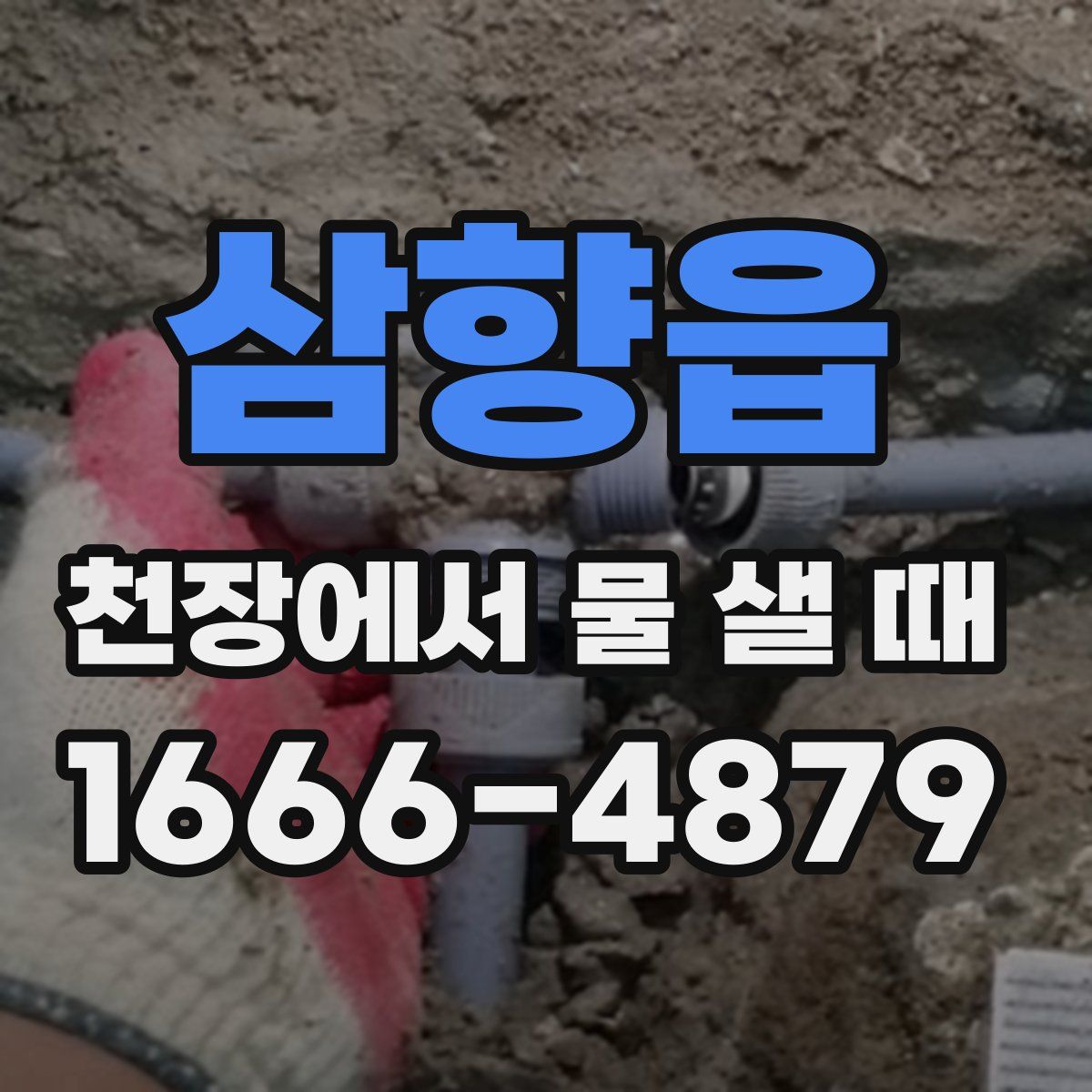 삼향읍 천장에서 물 샐 때