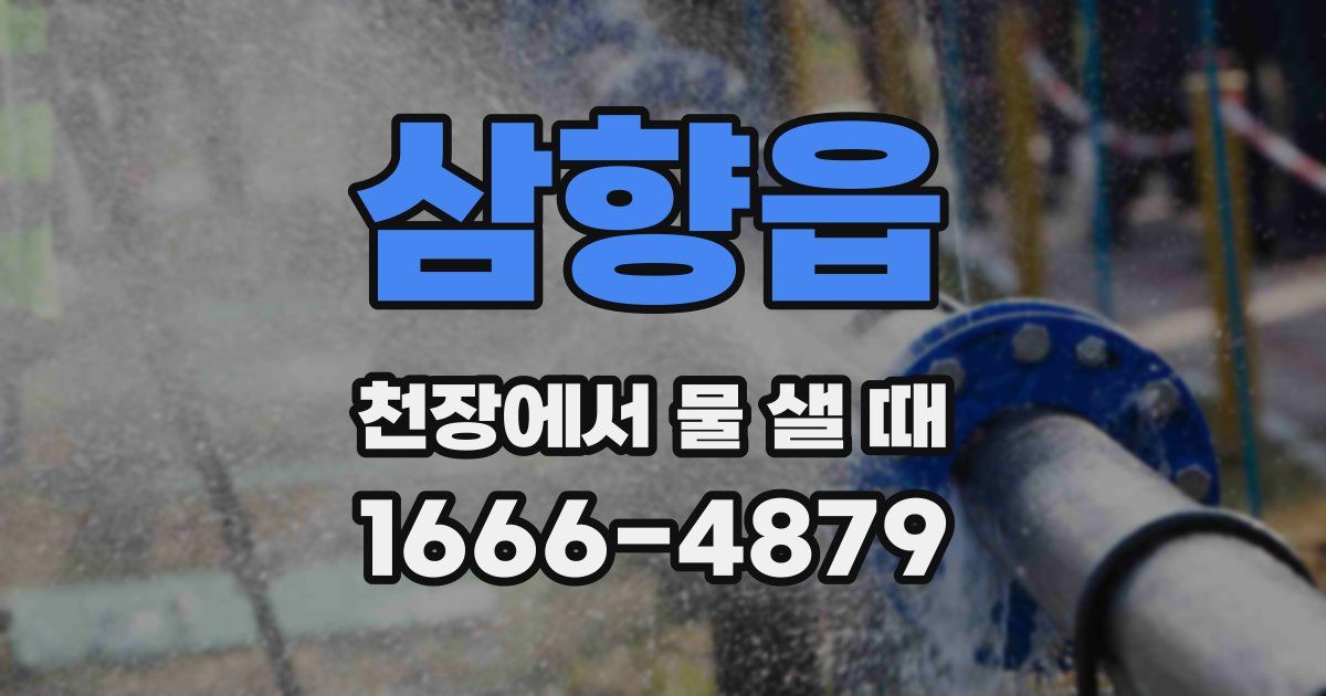 삼향읍 천장에서 물 샐 때