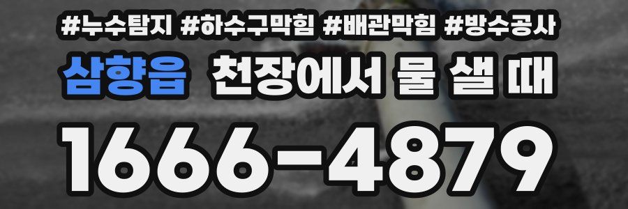 삼향읍 천장에서 물 샐 때