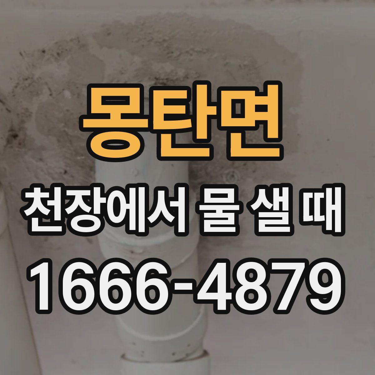 몽탄면 천장에서 물 샐 때