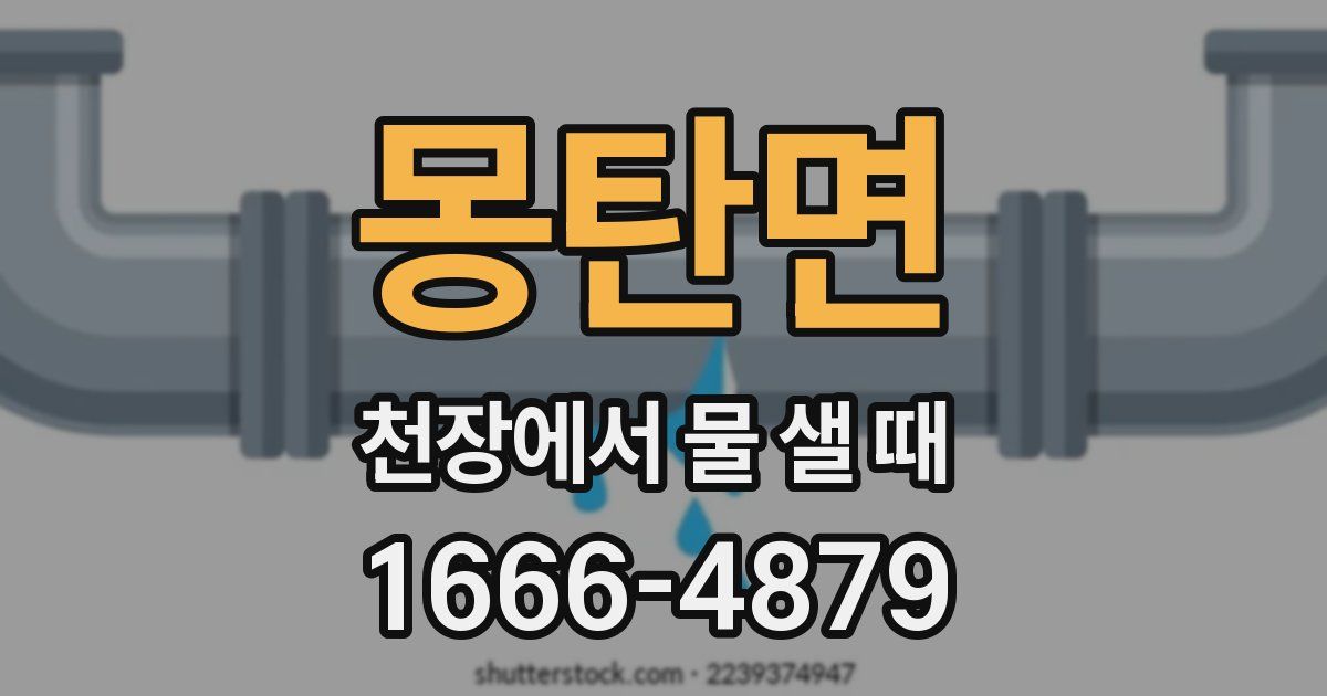 몽탄면 천장에서 물 샐 때