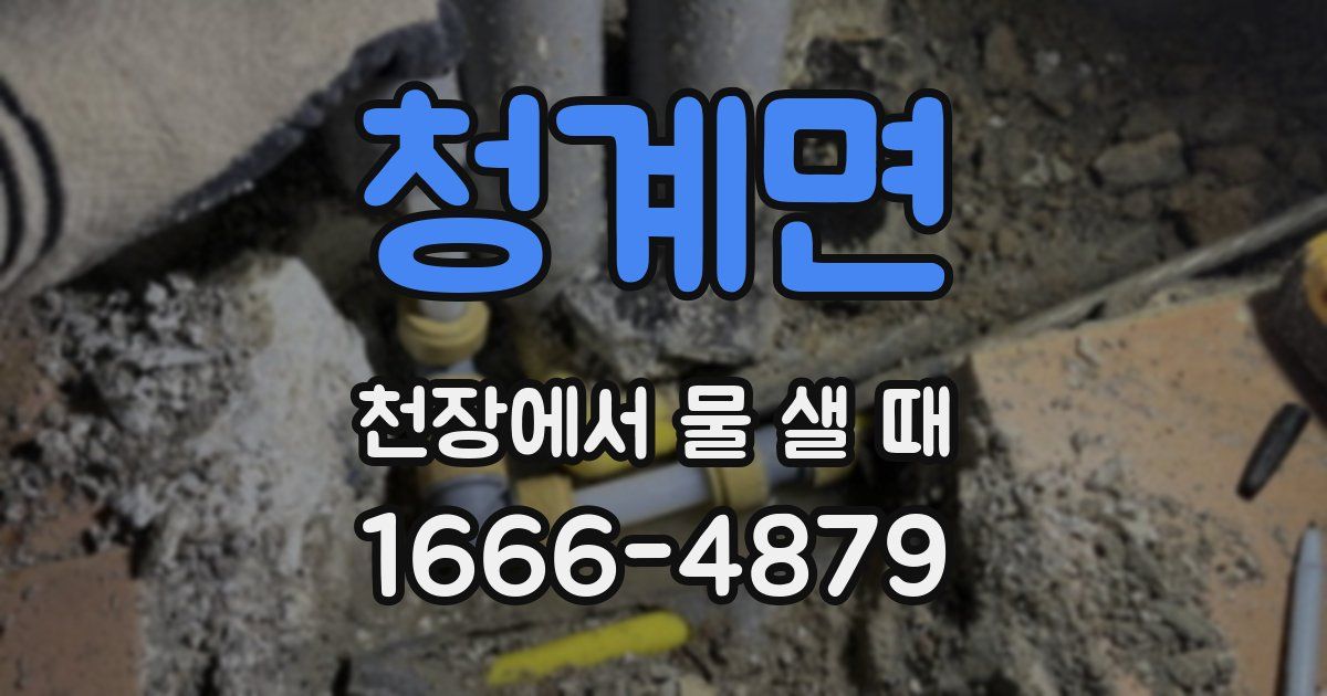 청계면 천장에서 물 샐 때